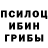 Галлюциногенные грибы мицелий Marija Horkavcuk