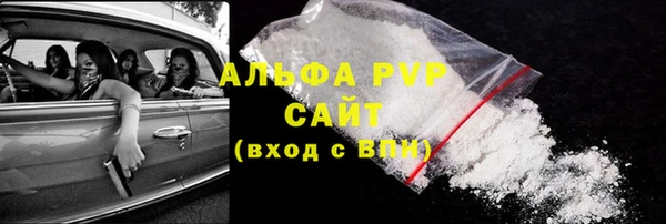 сатива Армянск