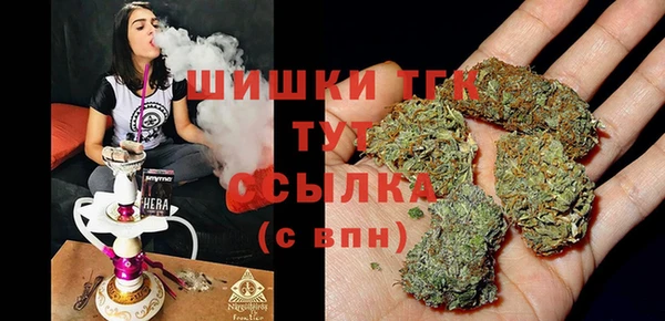 сатива Армянск