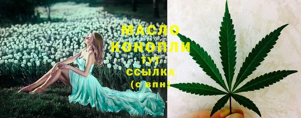 сатива Армянск