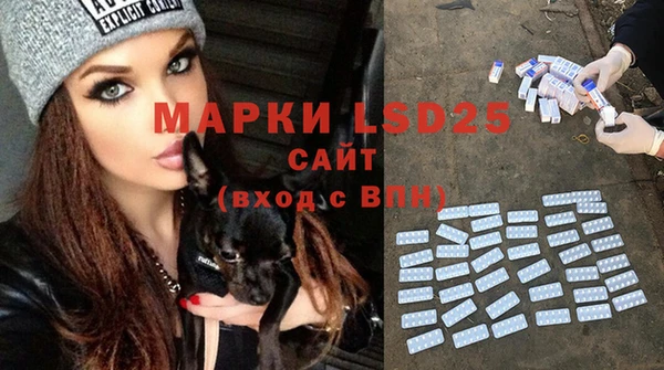 молекула духа Приозерск